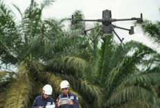 Teknologi LiDAR Zenmuse L3: Pemetaan Presisi di Area Perkebunan Berkanopi Lebat