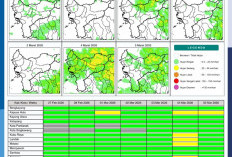 BMKG Kalbar Rilis Potensi Hujan Harian 27 Februari–5 Maret 2026