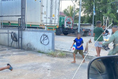 Satpol PP Pontianak Amankan Sejumlah Layangan dan Gelondongan Saat Razia