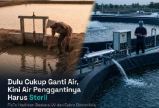 Dulu Cukup Ganti Air, Kini Air Penggantinya Harus Steril: FisTx Hadirkan Baskara UV dan Cakra Elektrolisis