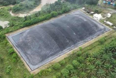 Holding Perkebunan Nusantara Tegaskan Komitmen Net Zero Emission Lewat Pemanfaatan Limbah PKS Sei Tapung