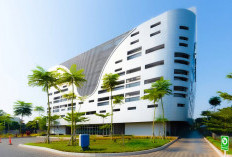 PT Pelindo Solusi Logistik Tegaskan Komitmen ESG untuk Keberlanjutan