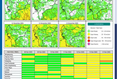 BMKG Rilis Potensi Hujan Harian di Kalimantan Barat 8–14 November 2025