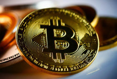 Fase Baru Bitcoin, Mengukur Potensi dan Stabilitas Pasar Menjelang Akhir Tahun