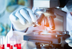 Prodia Hadirkan Advanced Lipid Profile dengan Report Komprehensif, Bantu Masyarakat Pahami Arti di Balik Angka