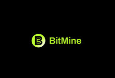 BitMine Umumkan CEO Baru, Siap Kendalikan Treasury Ethereum Jumbo $11 Miliar