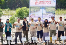 Pemkab Kubu Raya Larang Penebangan Mangrove, Genjot Revitalisasi dan Konservasi