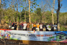 Peringati Hari Tani Nasional, Linknet Tanam Ribuan Pohon Bersama Petani Hutan