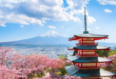 Bikin Visa Jepang Jadi Mudah Bersama GoVisa: Panduan Lengkap untuk Traveler Indonesia