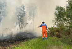 Karhutla Kalimantan Mengganas, 3 dari 5 Indikator Ini Bisa Tentukan Status Bencana Nasional