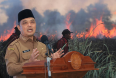 Gubernur Norsan Pantau Karhutla Kalbar Setiap Hari, BPBD Wajib Laporkan Kondisi Lapangan