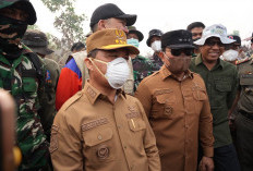 Rp60 Miliar Disiapkan untuk Karhutla: Fokus Pemadaman, Kesehatan Masyarakat hingga Pemulihan Lingkungan