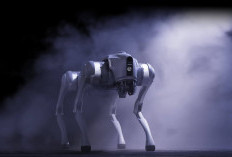 Robot Quadruped Unitree: Dari Riset AI hingga Operasi Industri Berat