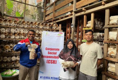 Melayani dengan Sepenuh Hati dari Sumatra hingga Papua, Elnusa Petrofin Laksanakan 1.010 Kegiatan CSR Sepanjan