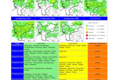 BMKG Kalbar Rilis Potensi Hujan Harian 22–28 September 2026