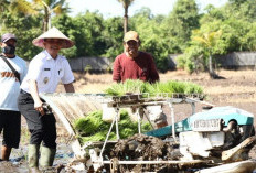 Kehidupan Petani di Sekitar Pontianak dan Tantangan Modernisasi