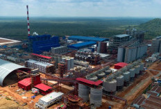 Hilirisasi Grup MIND ID, Transformasi Sektor Pertambangan