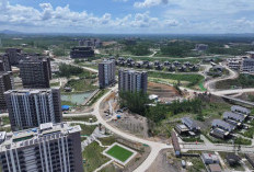 PTPP Percepat Pembangunan Jalan West Residence IKN, Progres Tembus 65,85%