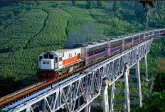 KAI Hadirkan Sarana Stainless Steel New Generation pada KA Gajayana dan Parahyangan Mulai 10–11 Januari 2026