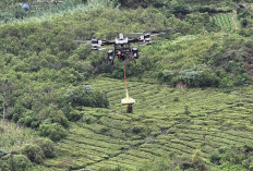 Drone Kargo DJI FlyCart 100 untuk Distribusi Logistik di Medan Ekstrem