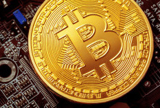 Sentimen Pasar Mulai Membaik, Bittime Tekankan Pentingnya Literasi