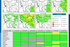 BMKG Kalbar Rilis Potensi Hujan Harian 7–13 Februari 2026: Meningkat Bertahap di Pertengahan Pekan