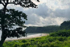 Lampung Selatan Jadi Lokasi Relawan Bakti BUMN 2026, PTPN Group dan InJourney Group Siap Bersinergi