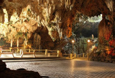 Denyut Baru Jalur Selatan: Saat Kereta Api dan Geopark Dunia Mengubah Wajah Pariwisata Kebumen