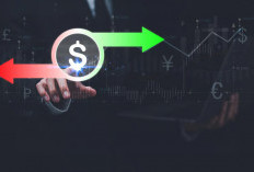 Cash Flow vs Profit: Mana yang Lebih Penting bagi Investor Pemula?