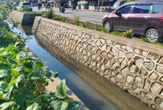 Bupati Kubu Raya Tata Jalan Adisucipto, Turap Batu Kali hingga PJU Dikebut