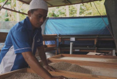 Ubah Sampah Jadi Sumber Penghasilan, Warga Kuala Tanjung Kelola Hingga 2 Ton per Hari