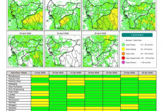 BMKG Kalbar Rilis Potensi Hujan Harian 19–25 April 2026