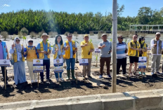 Upaya Tekan Dampak Perubahan Iklim, Kubu Raya Tanam Puluhan Ribu Mangrove