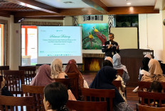 Perkuat Ekosistem Halal, SUCOFINDO Edukasi Pelaku UMKM di Timika