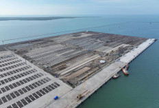 PTPP Percepat Pembangunan Infrastruktur Maritim Berkelas Dunia Proyek Pelabuhan Patimban