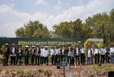 Perkuat Ketahanan Pangan dan Ekonomi Desa, Pertamina Gelar Panen Raya Nangka di Hutan Wanaboga Gunungkidul