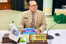 Bupati Kubu Raya Raih Penghargaan di Ajang TOP BUMD Awards