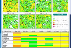BMKG Rilis Potensi Hujan Harian di Kalimantan Barat 15–21 November 2025