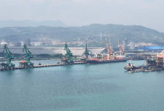 Krakatau International Port Pastikan Kesiapan Rantai Pasok Baja Dukung Program Hilirisasi Krakatau Steel Group