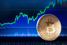 BTC Rally di Tengah Penguatan Dolar, Apakah Investor Perlu Waspada?