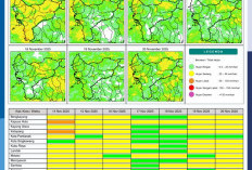 BMKG Rilis Potensi Hujan Harian di Kalimantan Barat 14–20 November 2025