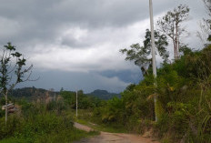 Proyek Lisdes di Landak Mangkrak Sejak 2023: Kepala Desa, PLN dan DPR Gelar Pertemuan