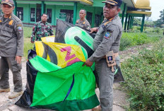 Lagi, Satpol PP Amankan 60 Layangan di Pontianak Utara