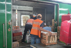 Kinerja Angkutan Barang Daop 9 Jember 2025 Lampaui Target, Tumbuh 265 Persen