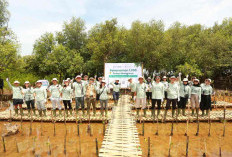 Abrasi Ancam Pesisir Tangerang, BRI Danareksa Sekuritas Tanam 1000 Pohon Mangrove