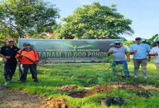 PTPN IV Regional V Gelar Gerakan Penghijauan, Holding Perkebunan Nusantara Perkuat Komitmen Lingkungan