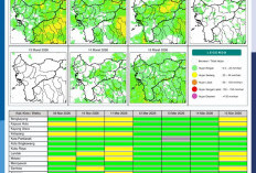 BMKG Kalbar Rilis Potensi Hujan Harian 9–15 Maret 2026