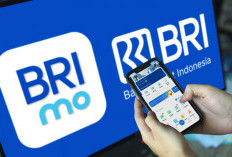 Satu Aplikasi untuk Semua Kebutuhan, BRImo Permudah Transaksi Nasabah