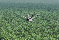 Pemantauan Keamanan Hutan dan Deteksi Kebakaran Lahan dengan DJI Dock 3