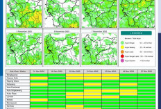 BMKG Rilis Potensi Hujan Harian di Kalimantan Barat 1–7 November 2025